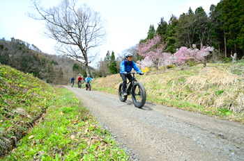 Madarao Mountain Bike Tour